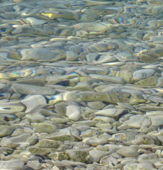 Home Page Image
